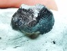 Ptychodus latissimus - Late Cretaceous - Bettrechies, 59 - FRANCE