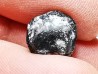 Ptychodus latissimus - Late Cretaceous - Bettrechies, 59 - FRANCE