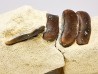 Anomoeodus (Pycnodonte), Crétacé Supérieur,  Eben-Emael, Belgique
