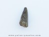 dinosaur tooth Razanandrongobe sakalavae