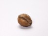 GASTEROPODE : Triviella angushawkei - Eocène - Australie