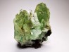 Barytine with dioptase inclusions - Katanga, DRC (Congo)