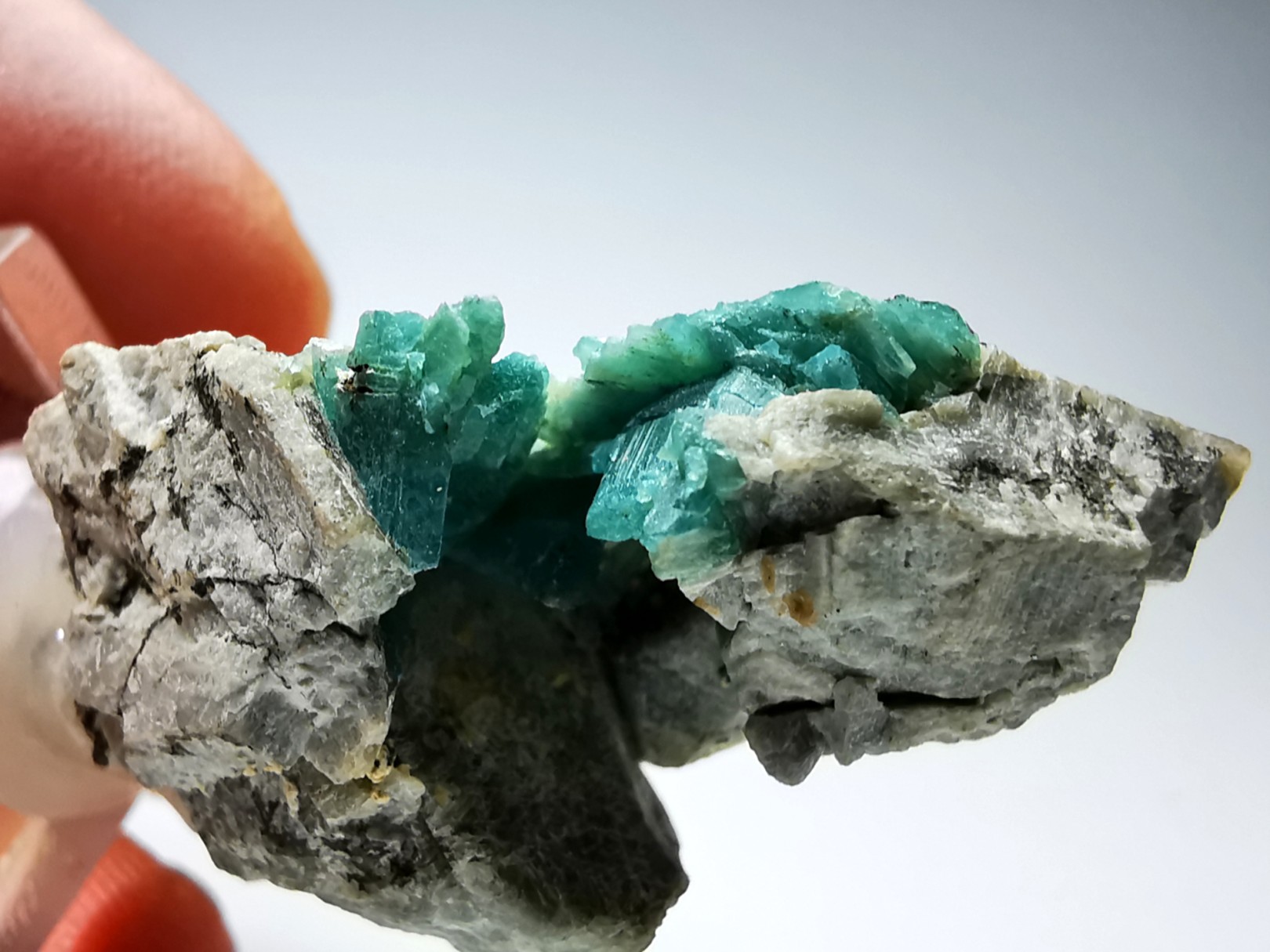 Grandidierite sur gangue, Tranomaro, Madagascar