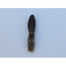 dinosaur tooth ARCHAEODONTOSAURUS DESCOUENSI (3)