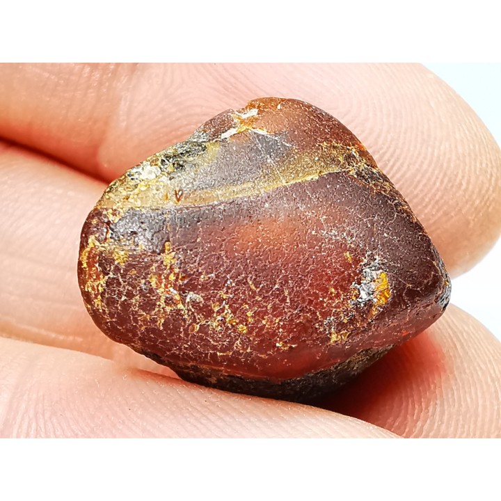 AMBER from Brazil