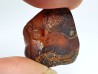 AMBER from Brazil