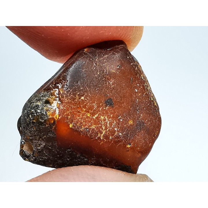 AMBER from Brazil