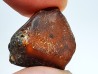 AMBER from Brazil