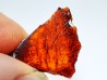 AMBRE du Brésil