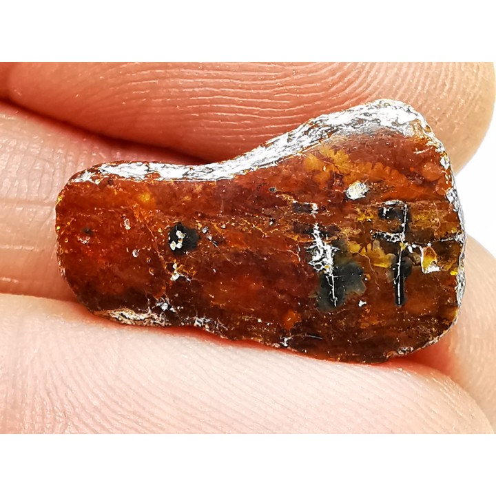 AMBER from Brazil