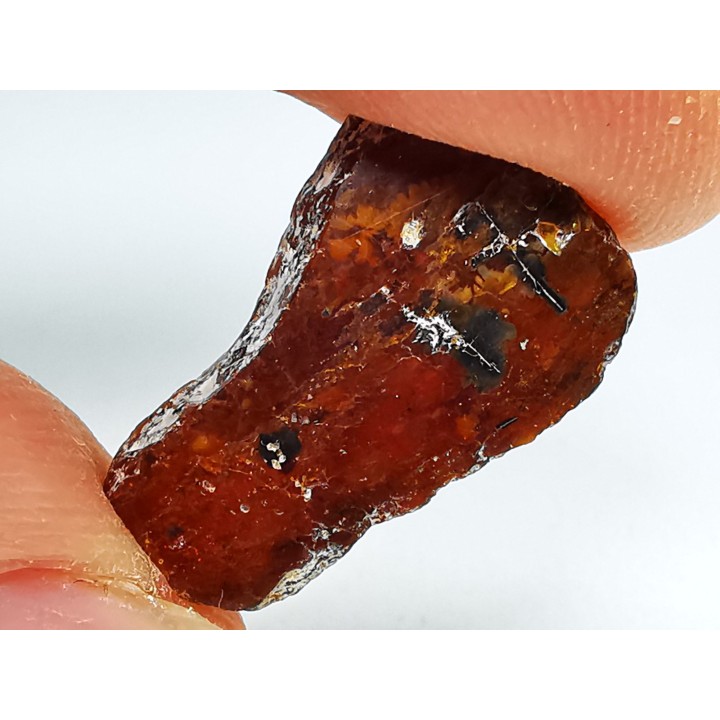 AMBER from Brazil