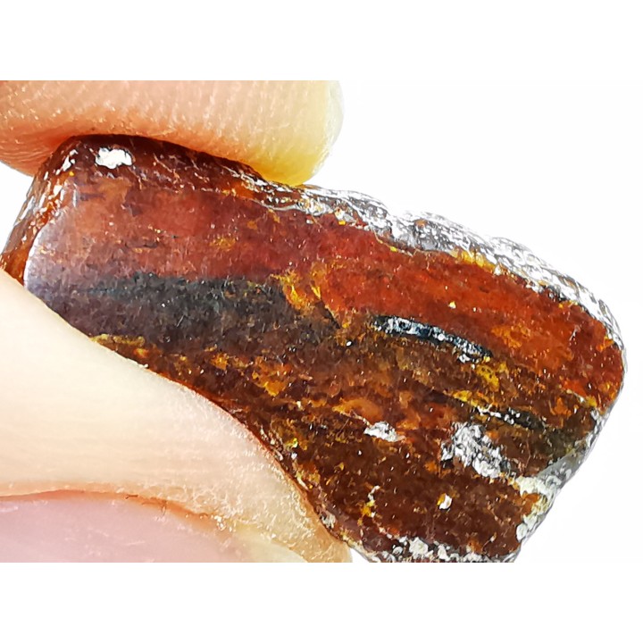 AMBER from Brazil