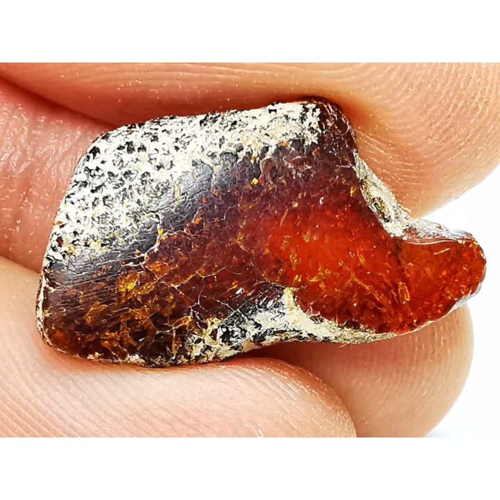 AMBER from Brazil