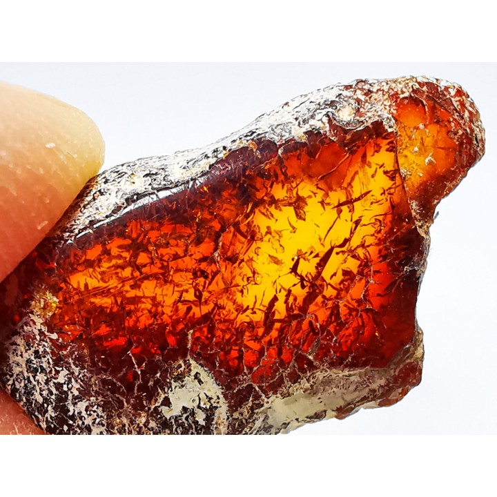 AMBER from Brazil