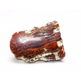 AMBER from Brazil