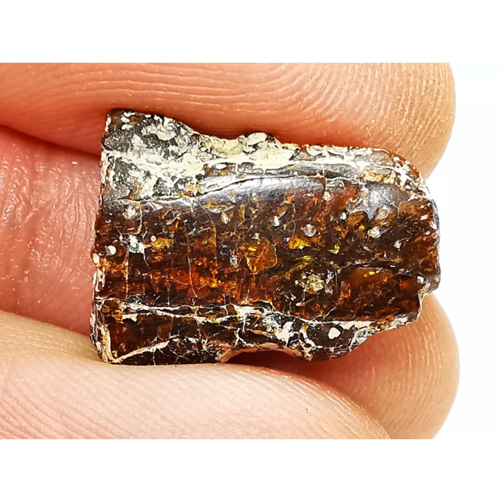AMBER from Brazil