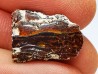 AMBER from Brazil