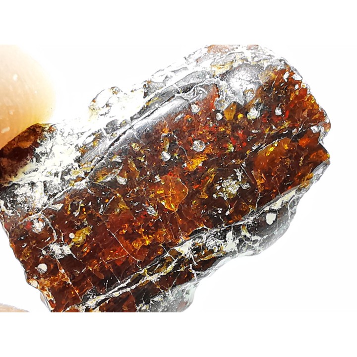 AMBER from Brazil
