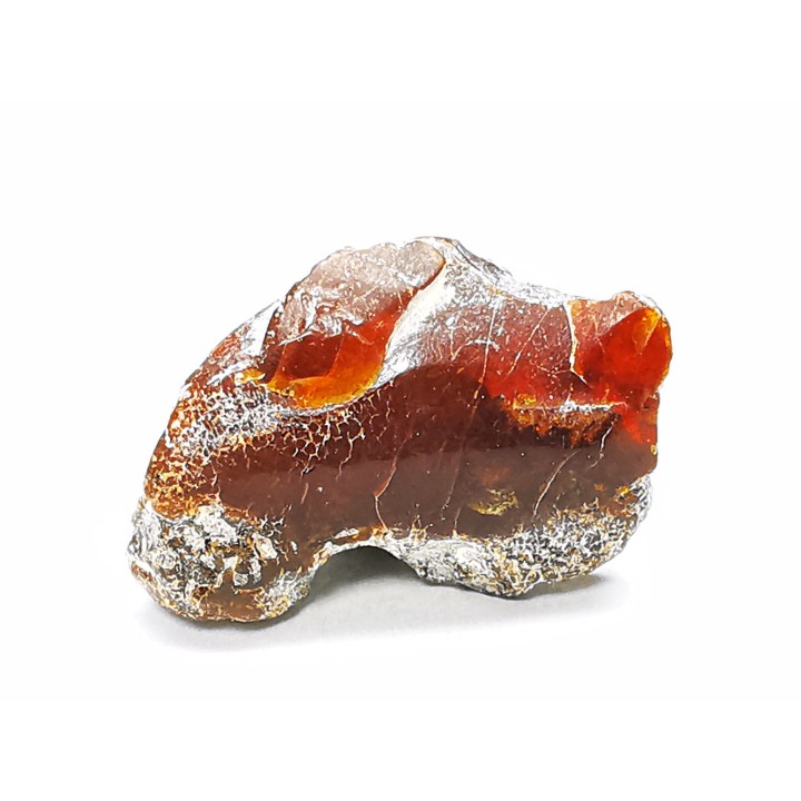 AMBER from Brazil