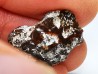 AMBER from Brazil