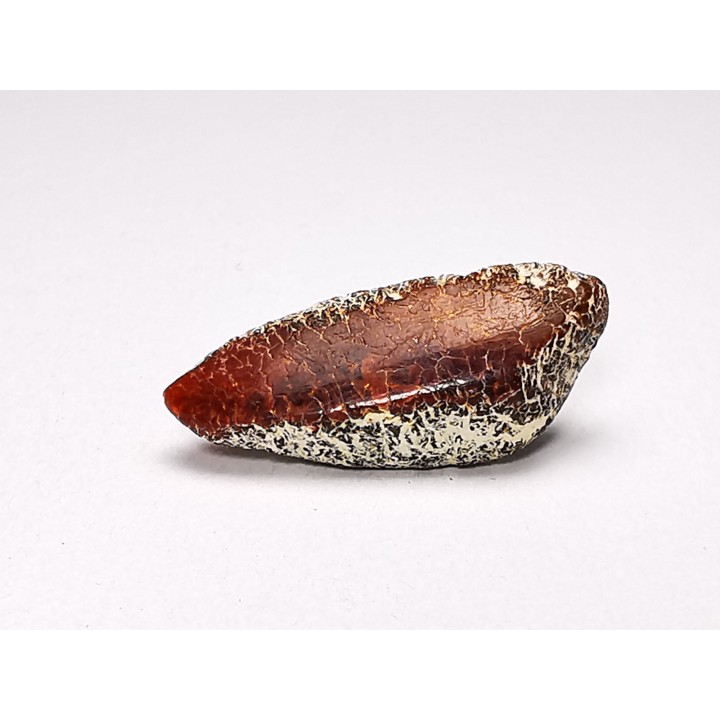 AMBER from Brazil
