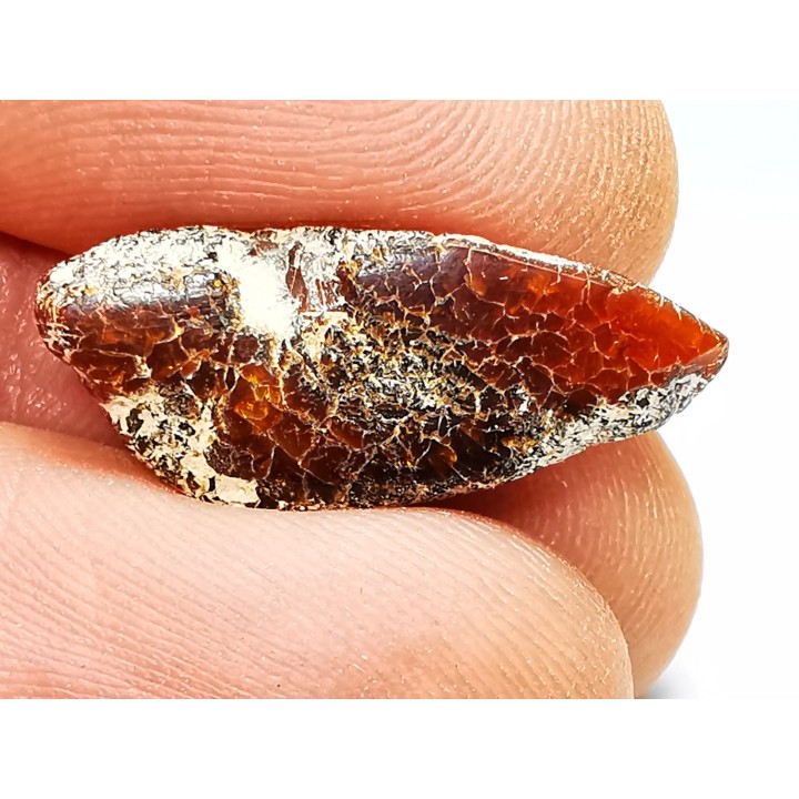 AMBER from Brazil