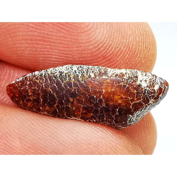AMBER from Brazil