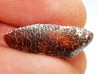 AMBER from Brazil