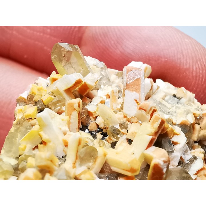 Orthose, quartz, babingtonite – Bavena, Italie