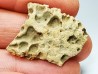 Reptile scute, Hell Creek Formation – Dawson, Montana, USA