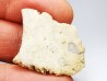 Scute de reptile - Hell Creek Formation - Dawson, Montana, USA