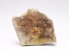 Reptile scute, Hell Creek Formation – Dawson, Montana, USA