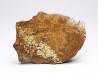 Reptile scute, Hell Creek Formation – Dawson, Montana, USA