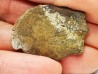Reptile scute, Hell Creek Formation – Dawson, Montana, USA