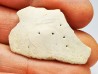 Scute de reptile - Hell Creek Formation - Dawson, Montana, USA