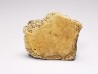 Scute de reptile - Hell Creek Formation - Dawson, Montana, USA