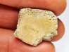 Reptile scute, Hell Creek Formation – Dawson, Montana, USA