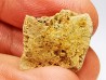 Reptile scute, Hell Creek Formation – Dawson, Montana, USA