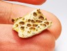 Reptile scute, Hell Creek Formation – Dawson, Montana, USA