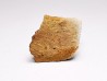 Scute de reptile - Hell Creek Formation - Dawson, Montana, USA