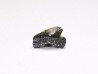Shark tooth: Squalicorax curvatus - Late Cretaceous - Bettrechies, 59 - FRANCE