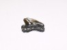 Shark tooth: Squalicorax curvatus - Late Cretaceous - Bettrechies, 59 - FRANCE