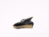 Shark tooth: Squalicorax curvatus - Late Cretaceous - Bettrechies, 59 - FRANCE