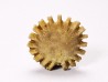 Button coral: Palaeocyclus porpita - Silurian - Lickershamn, Gotland, SWEDEN