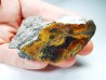 AMBER from Albian of Provence – FRANCE