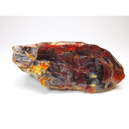 AMBER from Albian of Provence – FRANCE