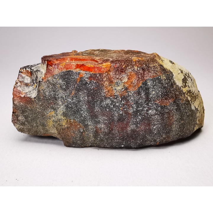 AMBER from Albian of Provence – FRANCE