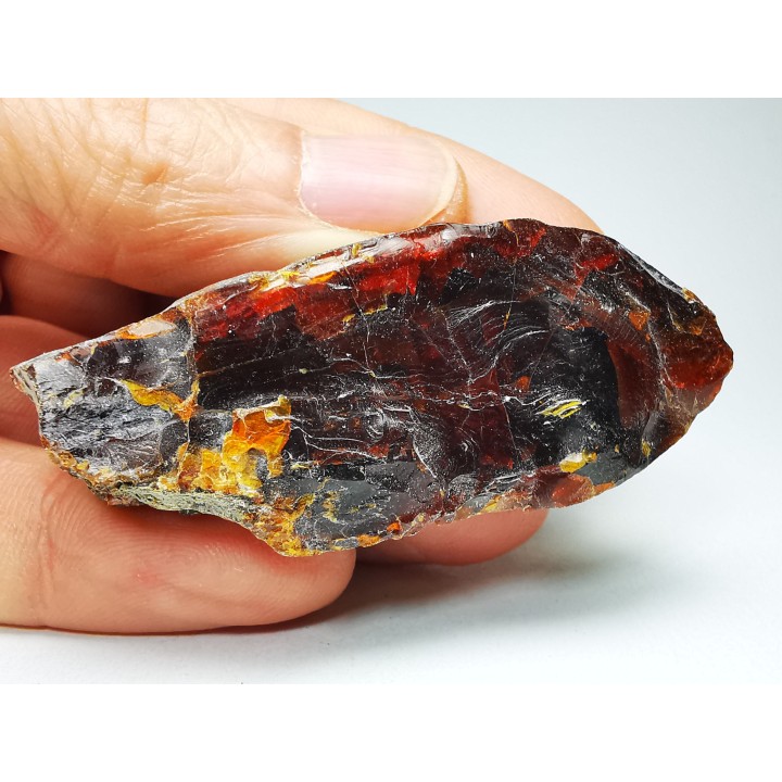 AMBER from Albian of Provence – FRANCE