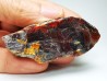 AMBER from Albian of Provence – FRANCE