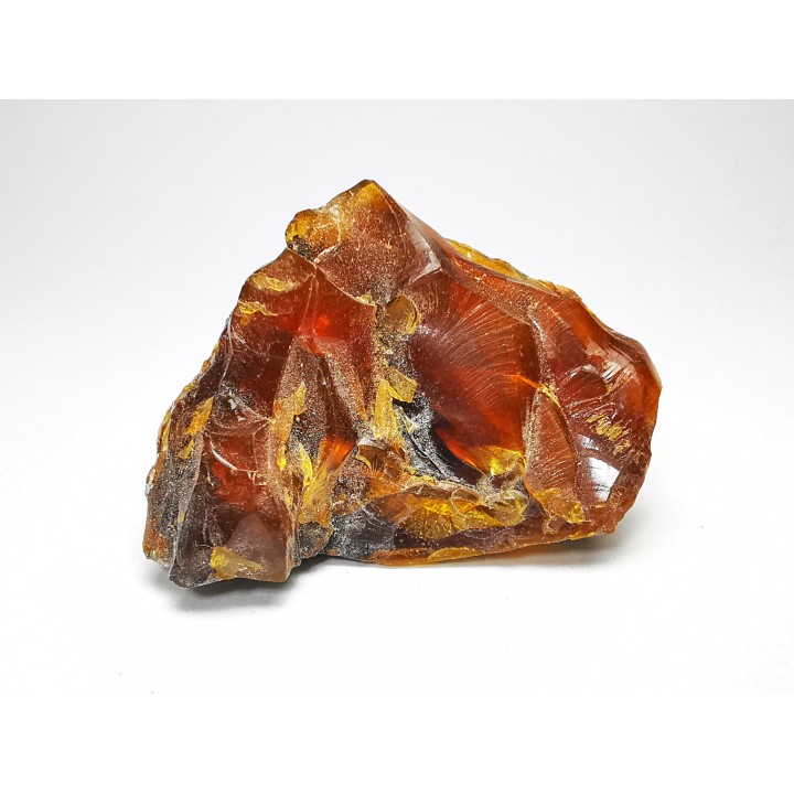 AMBER from Albian of Provence – FRANCE